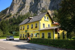 Gasthaus Harmonika Waldi